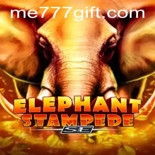 Experience the Adventure of ElephantStampedeSE